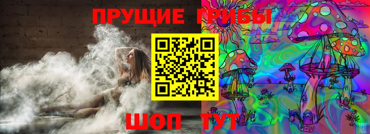 Псилоцибиновые грибы мухоморы Майкоп